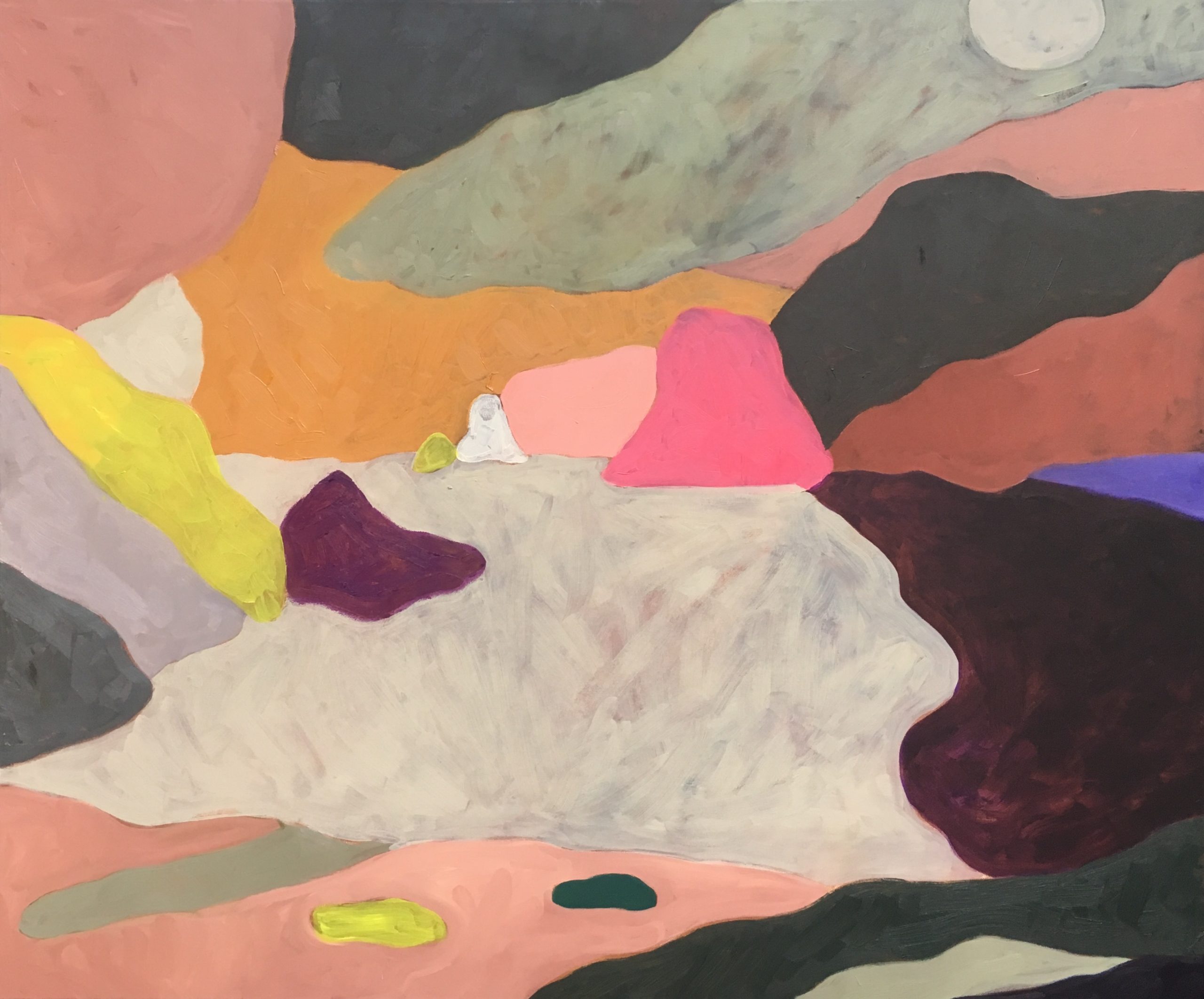 10_DRIFT_hydra_oiloncanvas_100x120cm__2018